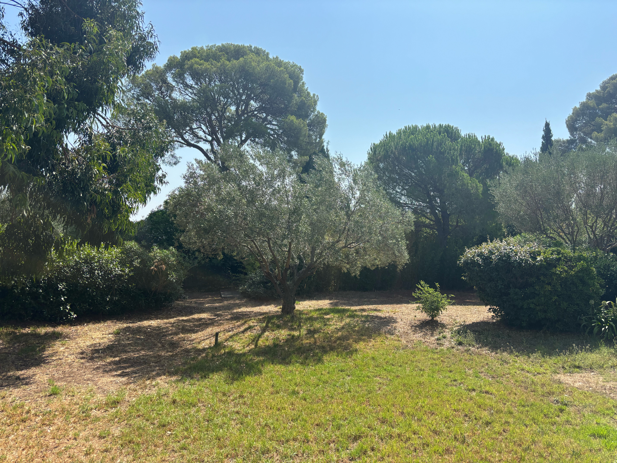 Maison à vendre à La garde, 400 m², 10 pièces – photo 3 sur 4