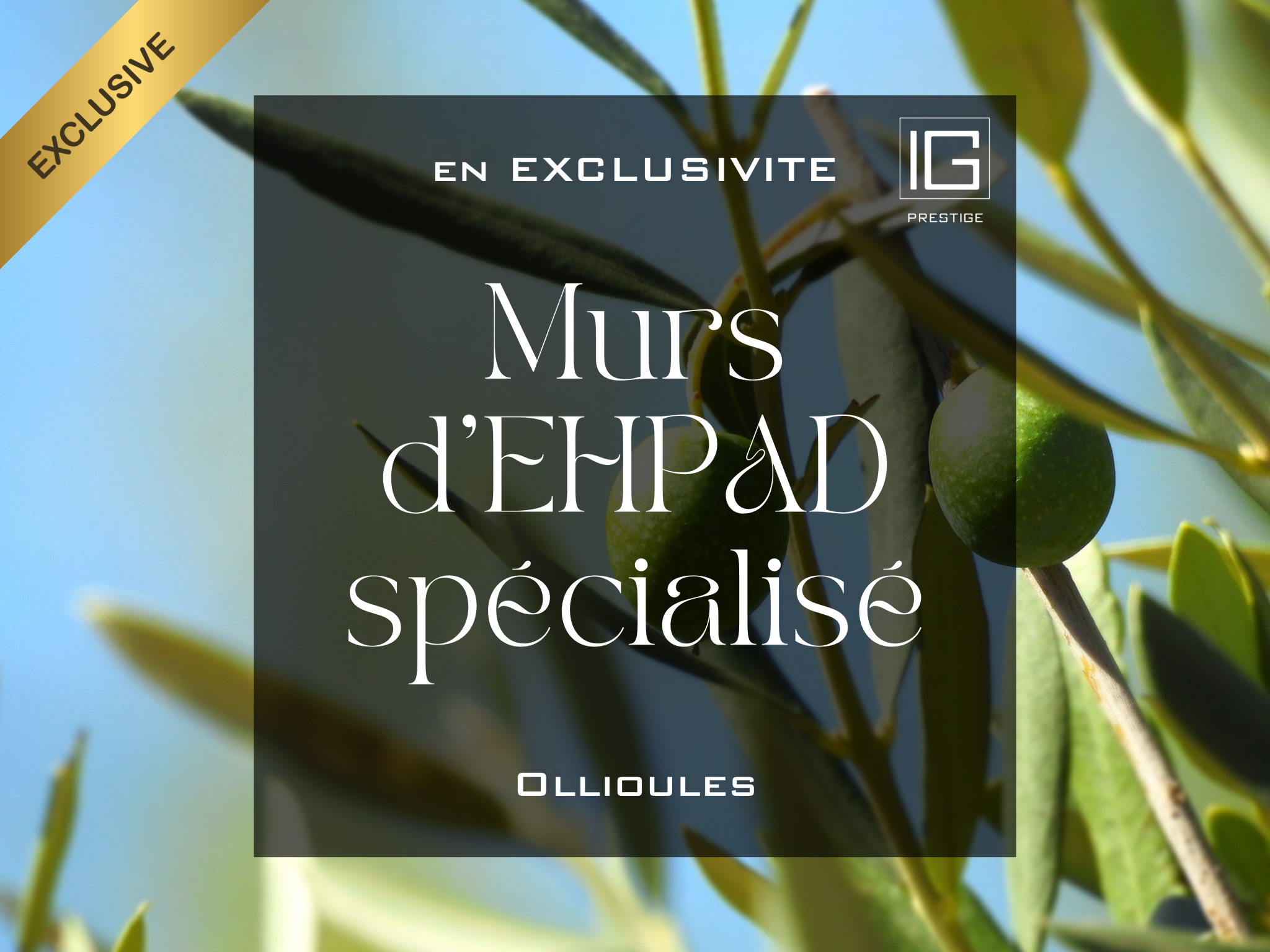 Photo bien immobilier