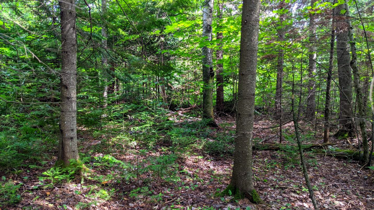 Agence immobilière de STEFANINI JEAN-MARC