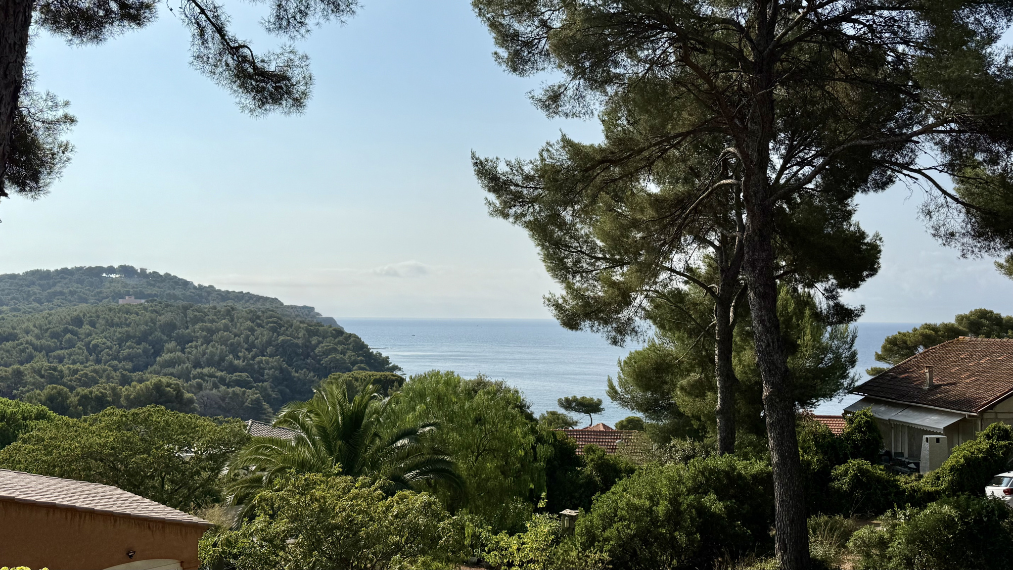 Agence immobilière de STEFANINI JEAN-MARC